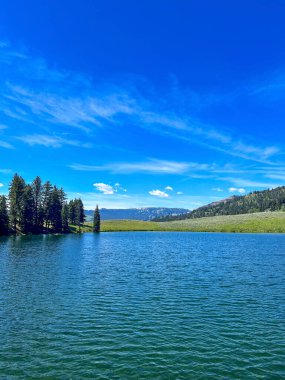 Yellowstone Ulusal Parkı 'ndaki Trout Lake Trail' de güneşli bir gün.