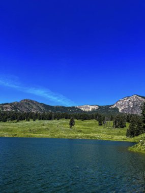 Yellowstone 'daki Trout Lake Wyoming' de açık mavi gökyüzü. Yellowstone Ulusal Parkı 'ndaki Trout Lake Wyoming' de açık mavi gökyüzü ve çam ağaçları.