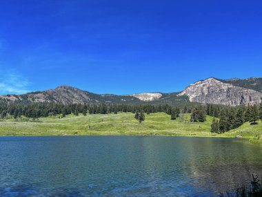 Yellowstone 'daki Trout Lake Wyoming' de açık mavi gökyüzü. Yellowstone Ulusal Parkı 'ndaki Trout Lake Wyoming' de açık mavi gökyüzü ve çam ağaçları.