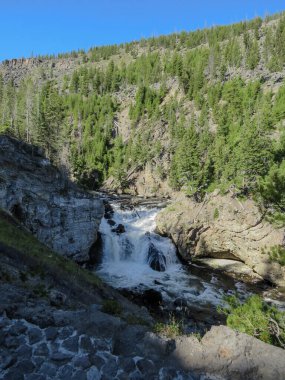 Yellowstone Ulusal Parkı 'ndaki Montana' nın dağları ve çam ağaçları arasındaki kayalık şelale.
