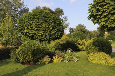 Ağaçları ve çalıları olan bahçe.
