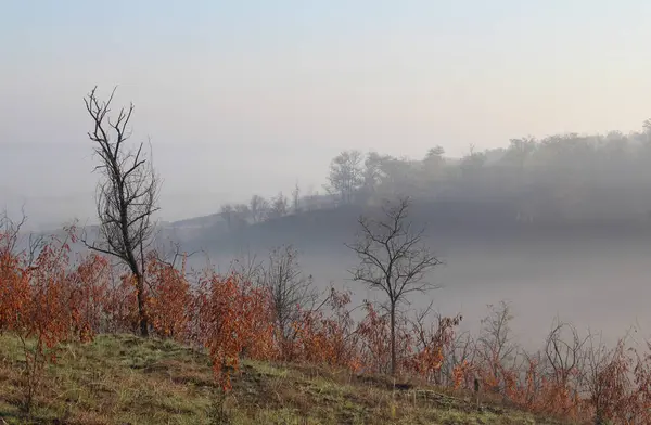 Dağlarda sisli bir sonbahar sabahı