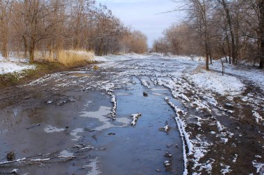 Kırmızı elma yakın çekim