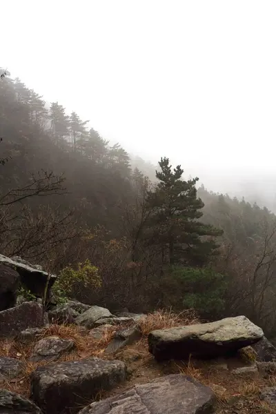Sisli bir sabah, sisle kısmen gizlenmiş ağaçlarla kaplı bir orman dağını gözler önüne seriyor. Rocky arazisi huzurlu ve sakin manzaraya doku katıyor. Doğa sakin ve uzak..