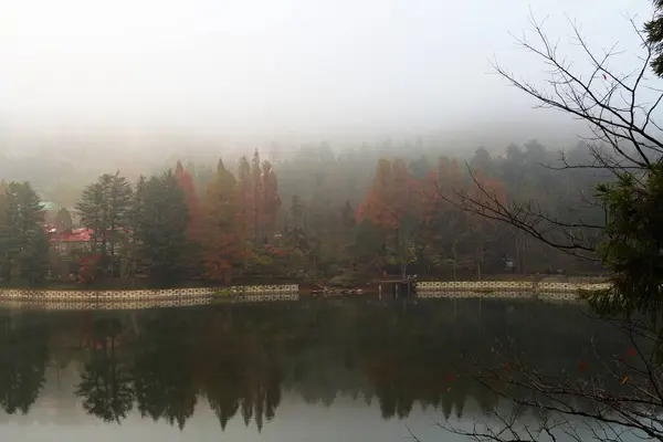 Sakin bir göl, renkli sonbahar ağaçları tarafından çerçevelenmiş sabahın erken saatlerindeki sisi yansıtır. Yumuşak renkler bu sakin doğal ortamda huzurlu bir atmosfer yaratır..