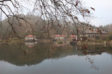 Huzurlu bir göl manzarası, sonbaharda çıplak ağaç dalları tarafından çerçevelenmiş, etrafındaki sisli dağları ve kırmızı çatıları yansıtan sakin sulara ve kırsal binalara sahiptir..