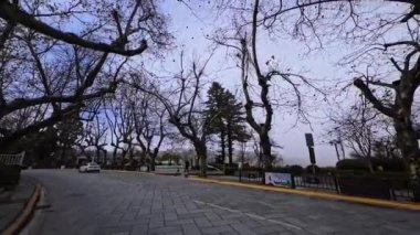 Sakin bir parkta sakin bir gezinti çıplak ağaçlar ve güzel bir akşam ışığı. Yol kaldırımlarla kaplı, sakin bir yansıma ve rahatlamaya yol açıyor..