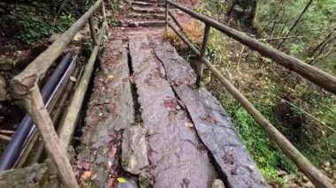 Kırsal bir taş köprü, yapraklarla kaplı ve yeşilliklerle çevrili dar bir ormanlık alanı kaplar. Huzurlu atmosfer yakınlardaki doğal güzellikleri keşfetmeye davet ediyor..