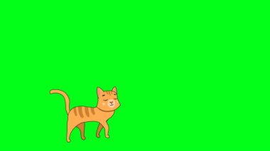 2d çizgi film karakteri sarı kedi gülümsüyor ve soldan giriyor ve sağdan yeşil ekran kroma anahtarıyla çıkıyor. 4K çözünürlüğü.