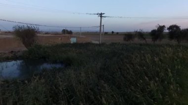 Güzel bir köy göletinin sazlıklarındaki kuş sürüsü. İnsansız hava aracı görüntüleri  .