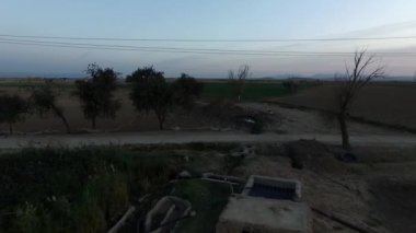 Güzel serçe kuşları köydeki ağaçlara ve gölete üşüşürler. Drone ile.