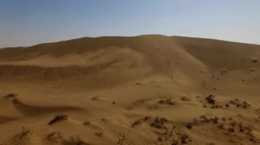 İnsanlar çölde kum tepelerinde eğleniyor. Off-road sürüşü. Develer. tırmanıyor.