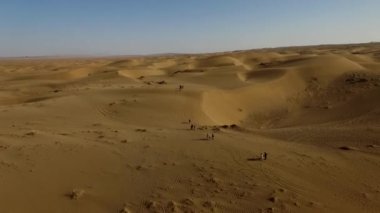 İnsanlar çölde kum tepelerinde eğleniyor. Off-road sürüşü. Develer. tırmanıyor.