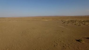 Çöl manzarasının güzel manzarasından bir dron tarafından güzel çöl çalılıkları..