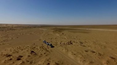 İnsanlar çölde kum tepelerinde eğleniyor. Off-road sürüşü. Develer. tırmanıyor.
