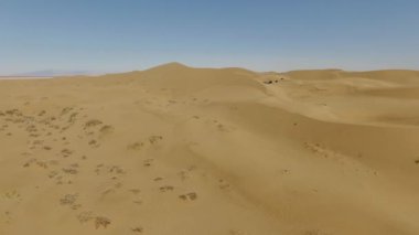 Arap ve Asyalı geyiklerin sınırındaki off-road araçlarının birikimi