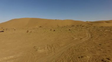 İnsanlar çölde kum tepelerinde eğleniyor. Off-road sürüşü. Develer. tırmanıyor.