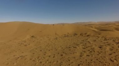 İnsanlar çölde kum tepelerinde eğleniyor. Off-road sürüşü. Develer. tırmanıyor.