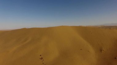 İnsanlar çölde kum tepelerinde eğleniyor. Off-road sürüşü. Develer. tırmanıyor.