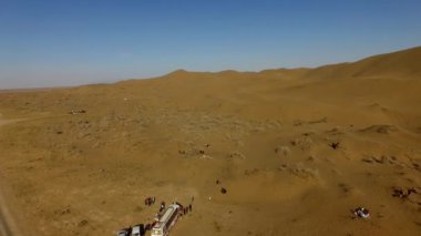 İnsanlar çölde kum tepelerinde eğleniyor. Off-road sürüşü. Develer. tırmanıyor.