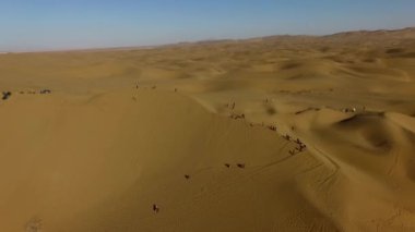 İnsanlar çölde kum tepelerinde eğleniyor. Off-road sürüşü. Develer. tırmanıyor.