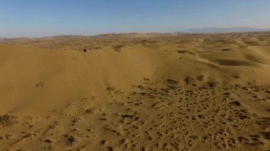 İnsanlar çölde kum tepelerinde eğleniyor. Off-road sürüşü. Develer. tırmanıyor.