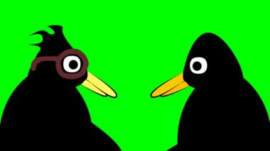 Yeşil arka planı olan iki penguen.