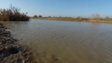 Zaman kaydına göre çölde akan bir sel nehri küçük dalgalar oluşturuyor..