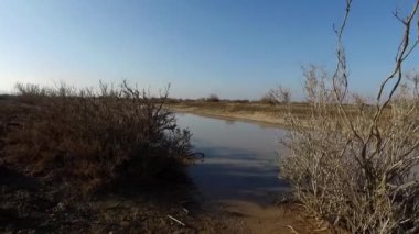 Çölde bir sel nehri sunuluyor, büyük kuru bir çalılığın arkasından çekiliyor..