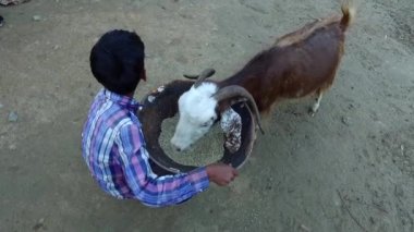 Genç bir adam köyde bir keçinin üzerinde oturuyor.