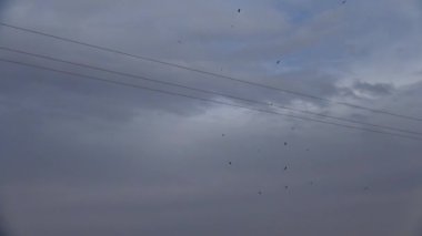 yüksek voltaj güç hatları