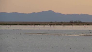 Balaton Gölü 'nde gün batımı