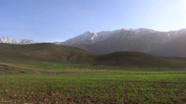 Dağlarda bir ağacı olan güzel bir manzara.