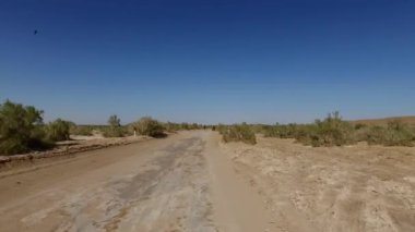 Ağaçların arasındaki toprak yol.