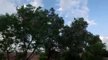 Şehir parkının güzel manzarası