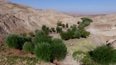 Negev Çölü 'nün güzel manzarası