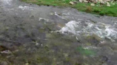 taşlı ve otlu su akıntısı