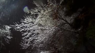 Bir kış harikalar diyarı sahnesi, dalların gözden kaybolduğu yoğun bir kar yağışında karlı ağaçları yakalıyor..