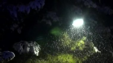 Trafiğin yoğunlaştığı bir gece otoyolu sahnesi, yol boyunca uzanan ağaç dallarında dinlenen narin kar taneleriyle dolup taşıyor..
