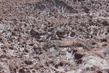 Tenerife 'deki volkanik volkan kayası, kanarya adaları.