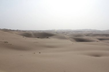 Sahara 'nın kumullarının güzel manzarası