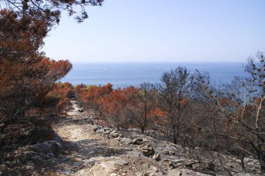 Arka planda Adriyatik Denizi. Hırvatistan 'ın Murter kentinde 30 Temmuz 2024' te yangın çıktı.