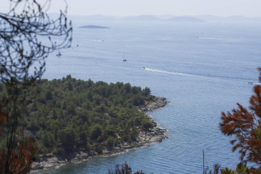 Arka planda Adriyatik Denizi. Hırvatistan 'ın Murter kentinde 30 Temmuz 2024' te yangın çıktı.
