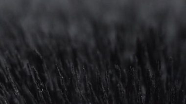  Demir tozu çivileri. Demir dolgularının manyetik alana tepkisi. Görselleştirme. Manyetik parçacıkların dokusu. Siyah beyaz fütüristik arka plan, kirpi dokusu