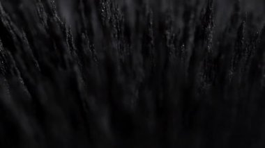  Demir tozu çivileri. Demir dolgularının manyetik alana tepkisi. Görselleştirme. Manyetik parçacıkların dokusu. Siyah beyaz fütüristik arka plan, kirpi dokusu