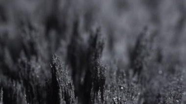  Demir tozu çivileri. Demir dolgularının manyetik alana tepkisi. Görselleştirme. Manyetik parçacıkların dokusu. Siyah beyaz fütüristik arka plan, kirpi dokusu