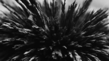  Demir tozu çivileri. Demir dolgularının manyetik alana tepkisi. Görselleştirme. Manyetik parçacıkların dokusu. Siyah beyaz fütüristik arka plan, kirpi dokusu