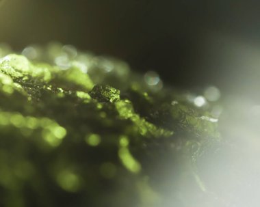 Hakiki bohem molekül taşı. Yaklaş. Tektit, göktaşı çarpması sırasında oluşan doğal cam. Güzel yeşil değerli taş. Çok nadir bulunan bir mineral. Çek Cumhuriyeti 'nde yasadışı molekül madenciliği. Alternatif terapi.