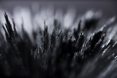 Demir tozunun manyetik alana tepkisi. Demir dolgu çivileri. Neodim mıknatısı. Manyetik alanın görselleştirilmesi. Aşırı detay. Soyut gelecek dokuları ve kalıpları.