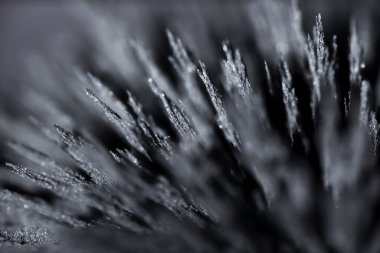 Demir tozunun manyetik alana tepkisi. Demir dolgu çivileri. Neodim mıknatısı. Manyetik alanın görselleştirilmesi. Aşırı detay. Soyut gelecek dokuları ve kalıpları.